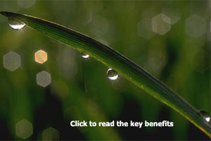 Agarigold with H1X1 is the super food of life - Read the key benefits by clicking here